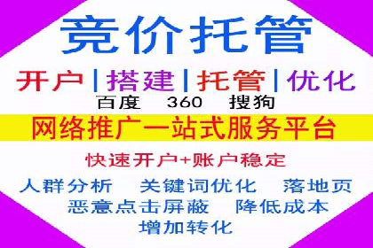 SEM代运营机构成功案例：优化策略与效果分析